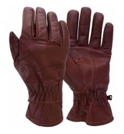 Dressing Gloves